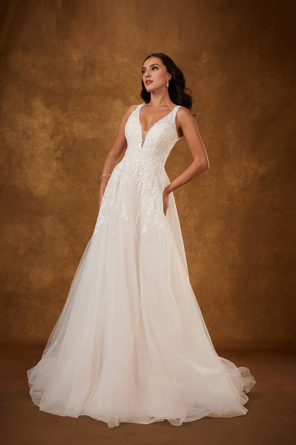 Embroidered applique long sleeveless V-neck sheer wedding dress